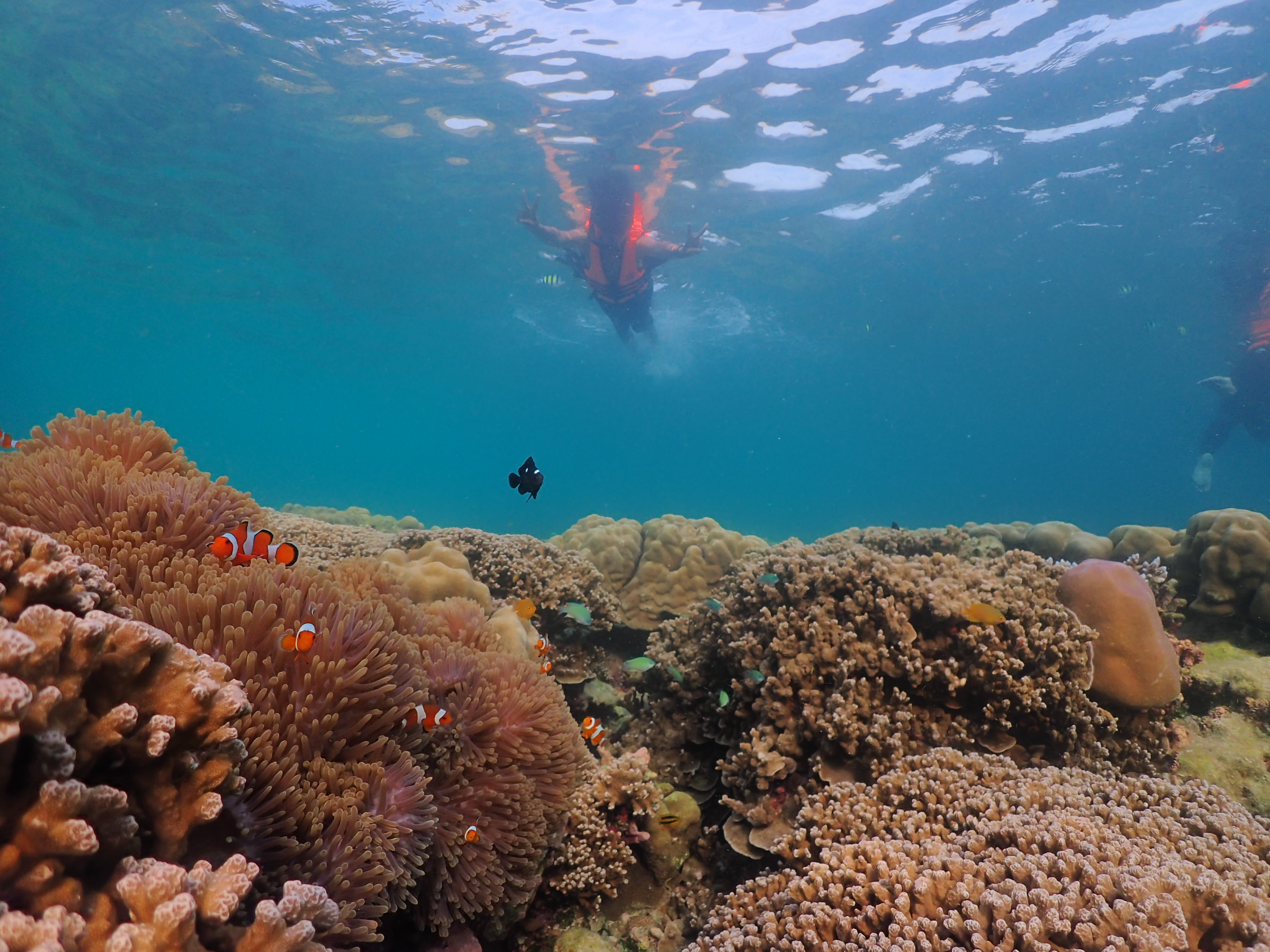 ONE DAY TRIP – SURIN ISLANDS