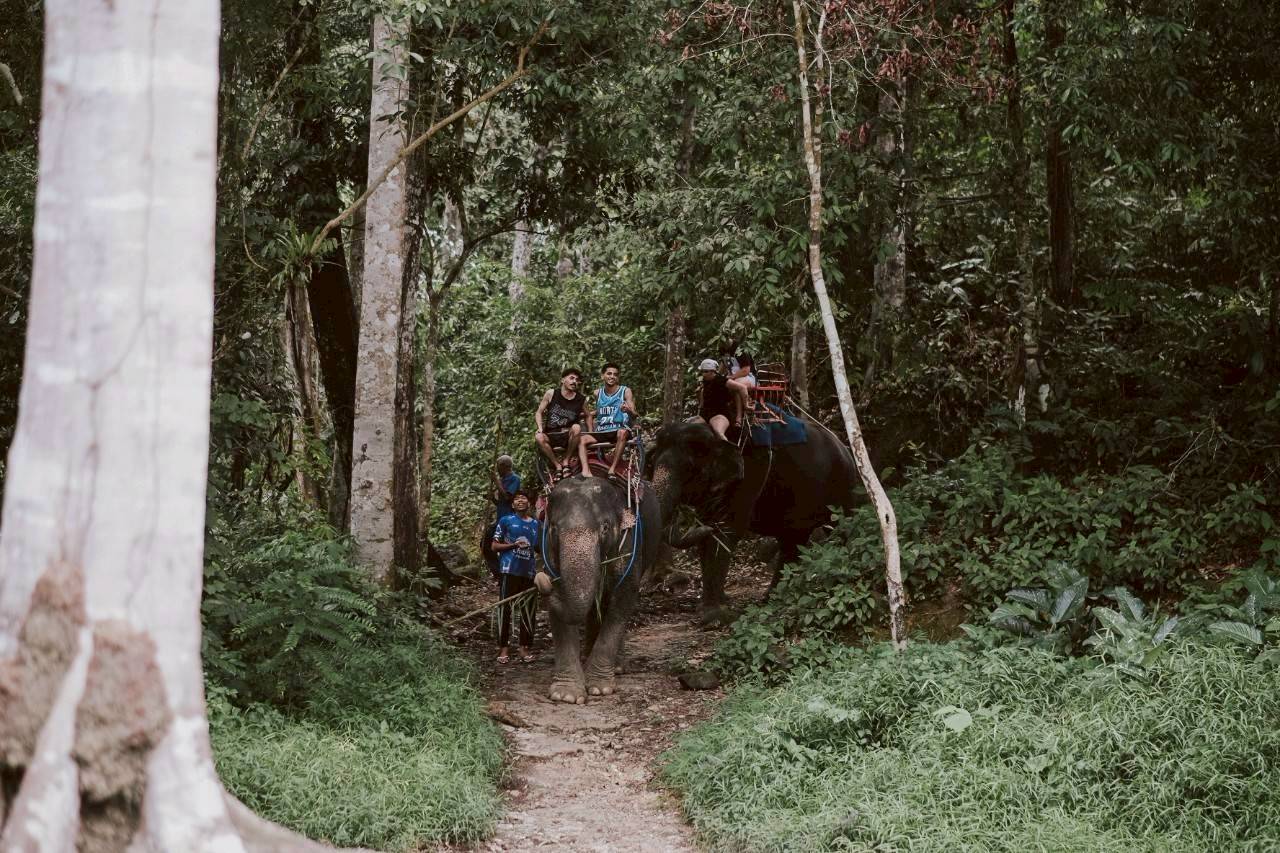 ELEPHANT & BAMBOO RAFTING ADVENTURE (PROGRAM S1)