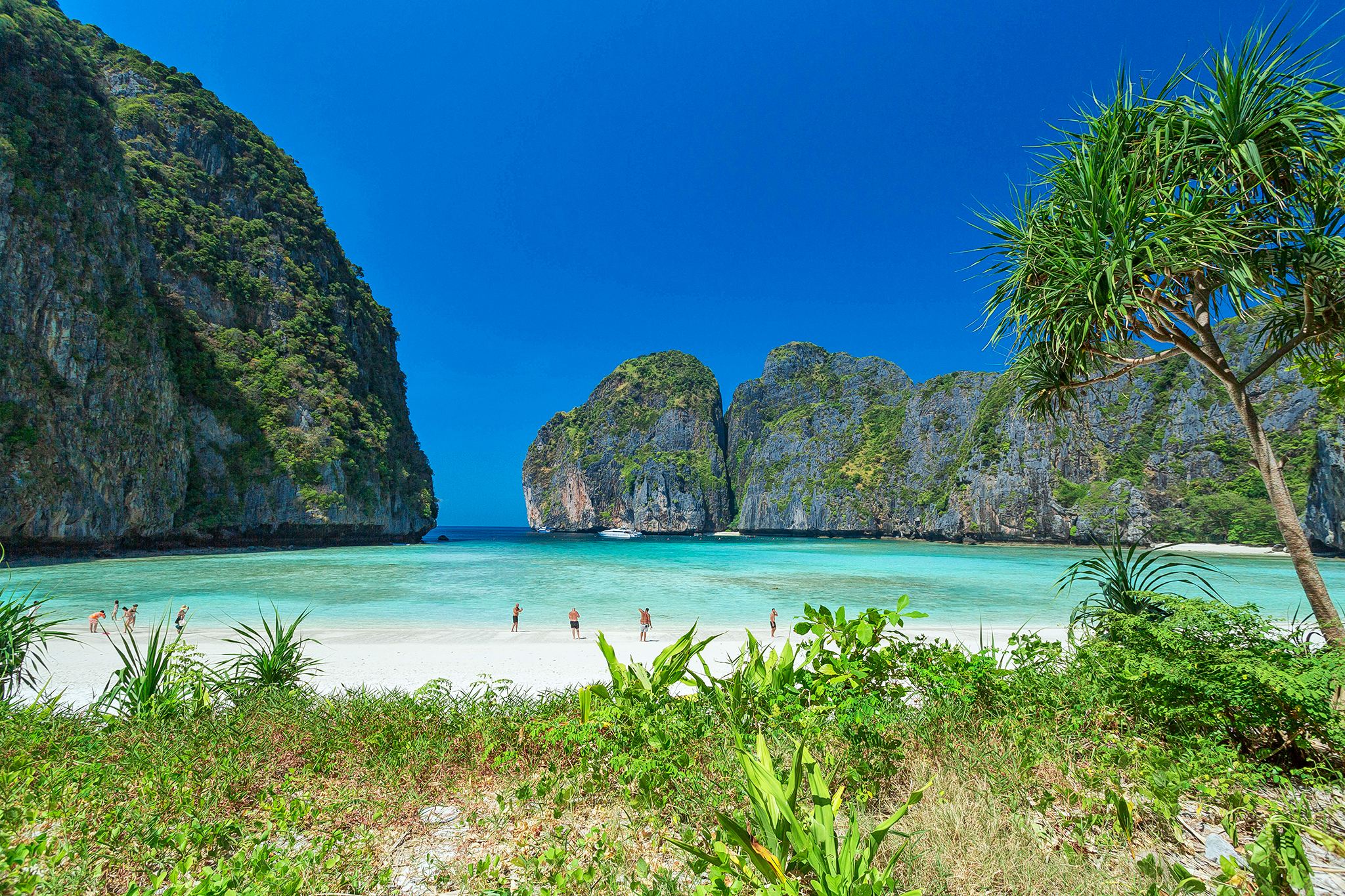 ONE DAY TRIP PHI PHI ISLAND-BAMBOO ISLAND