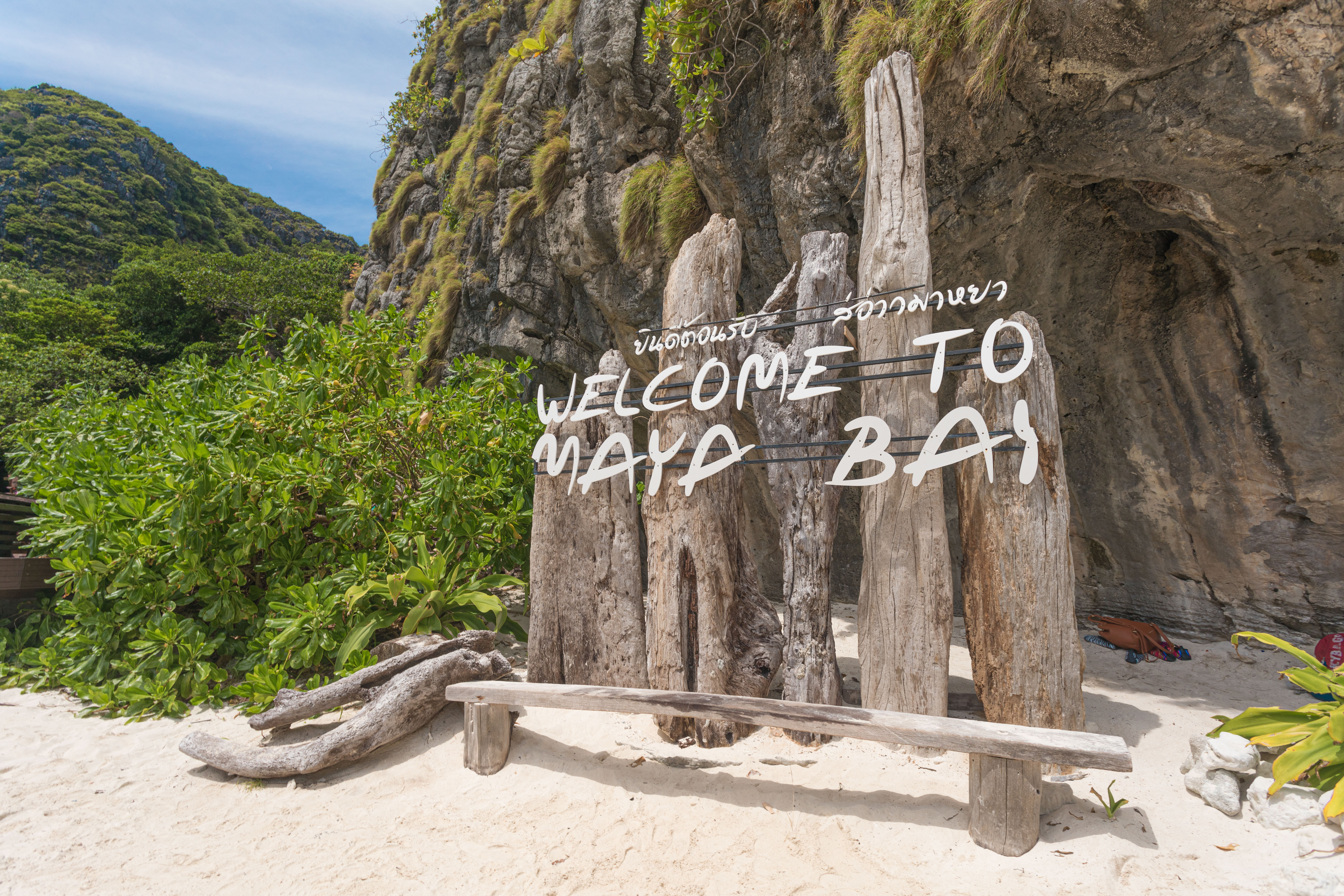 ONE DAY TRIP PHI PHI ISLAND-BAMBOO ISLAND