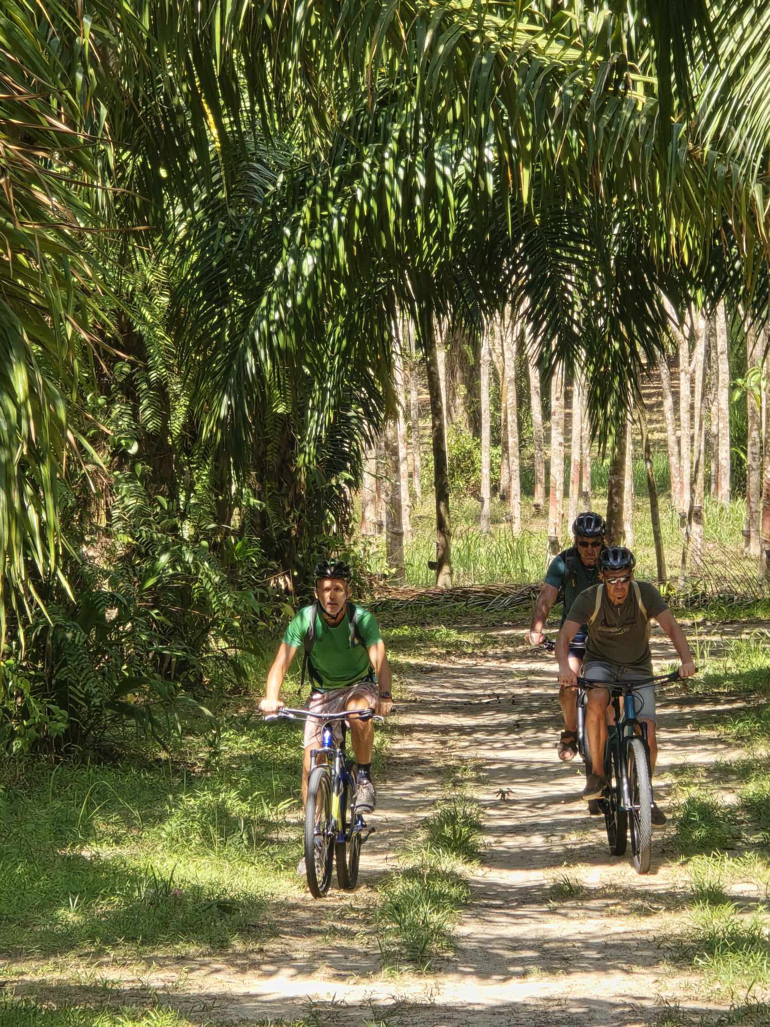 HALF-DAY COUNTRYSIDE CYCLING TOUR