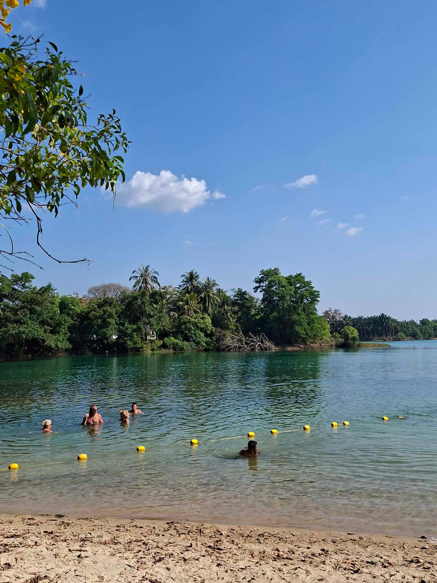 RAINFOREST & WATERFALL HIKING Explore Phuket's Last Tropical Rainforest