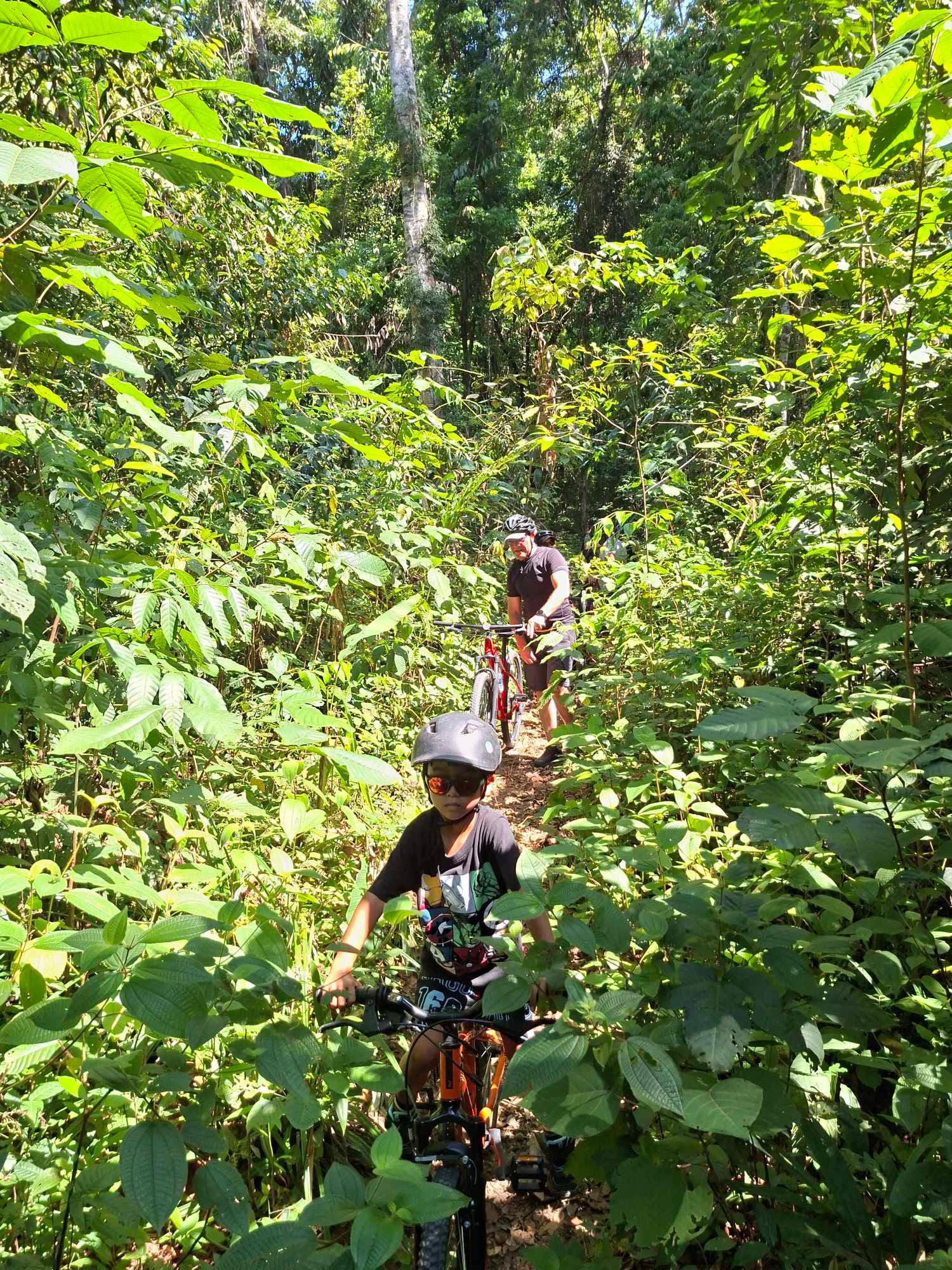 HALF-DAY COUNTRYSIDE CYCLING TOUR