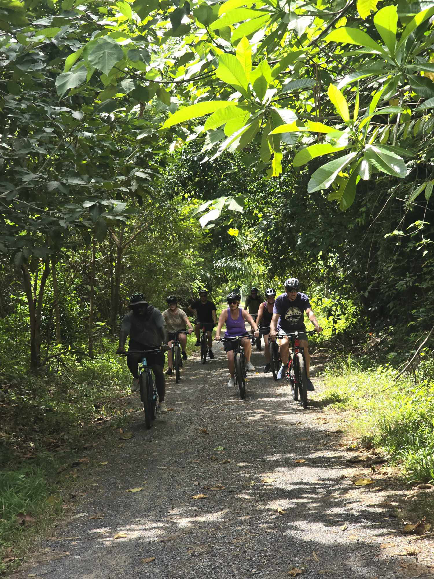 HALF-DAY COUNTRYSIDE CYCLING TOUR