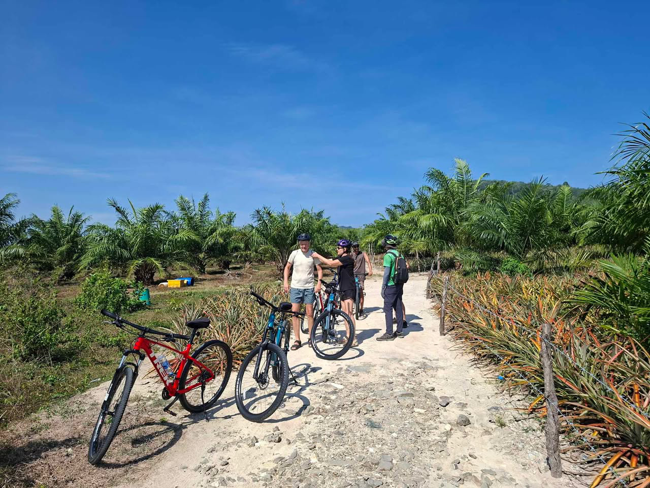 HALF-DAY COUNTRYSIDE CYCLING TOUR