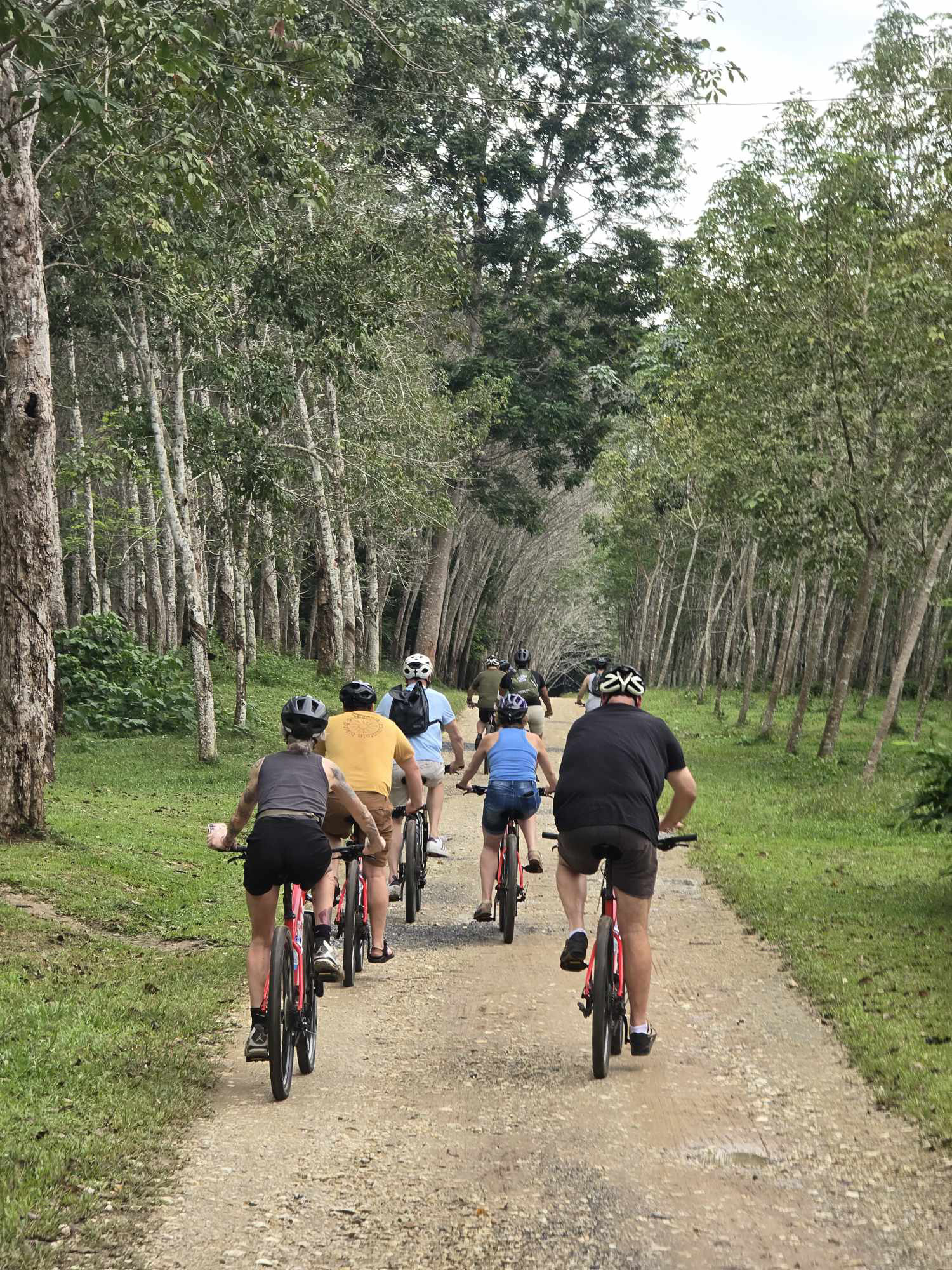 HALF-DAY COUNTRYSIDE CYCLING TOUR