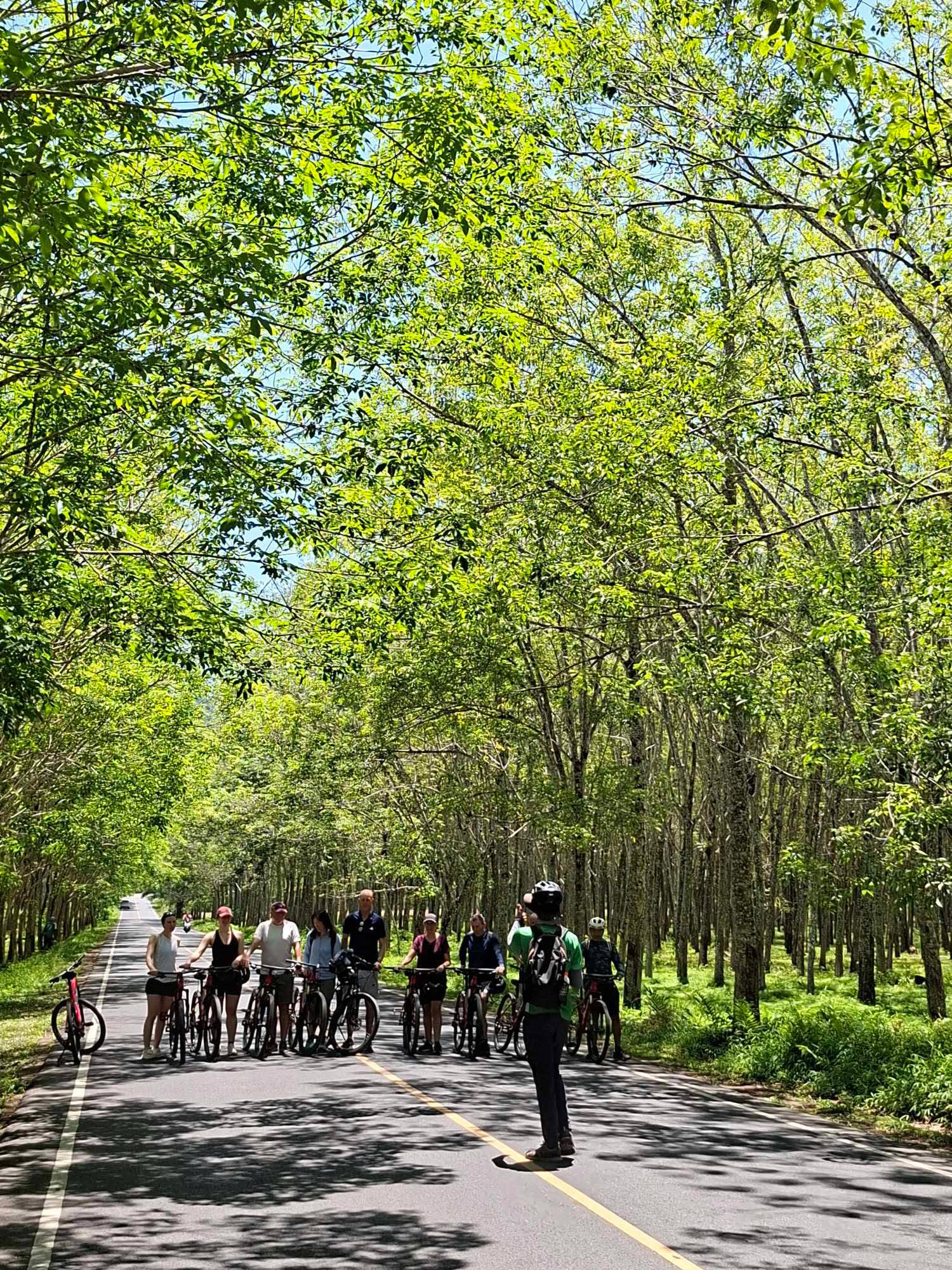 HALF-DAY COUNTRYSIDE CYCLING TOUR