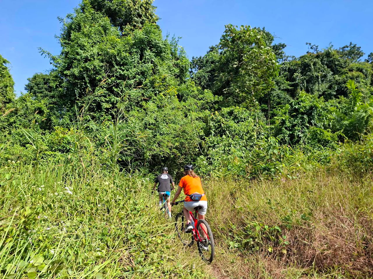 HALF-DAY COUNTRYSIDE CYCLING TOUR