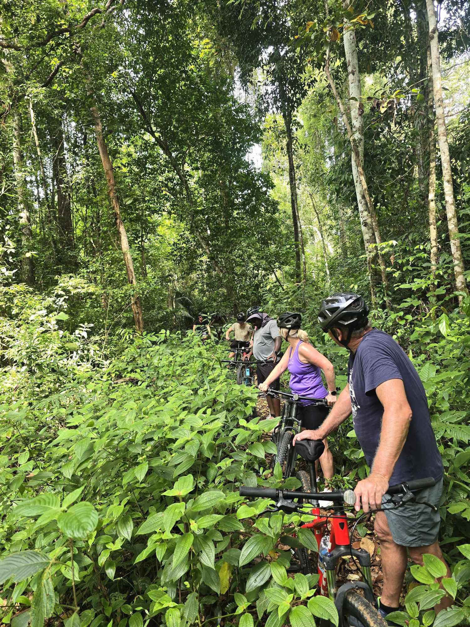 HALF-DAY COUNTRYSIDE CYCLING TOUR