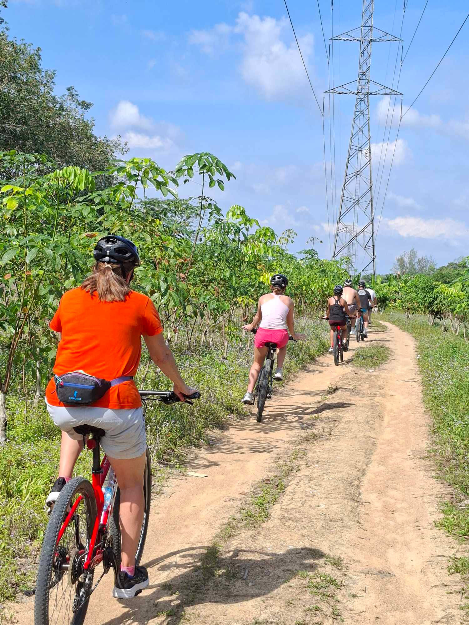 HALF-DAY COUNTRYSIDE CYCLING TOUR