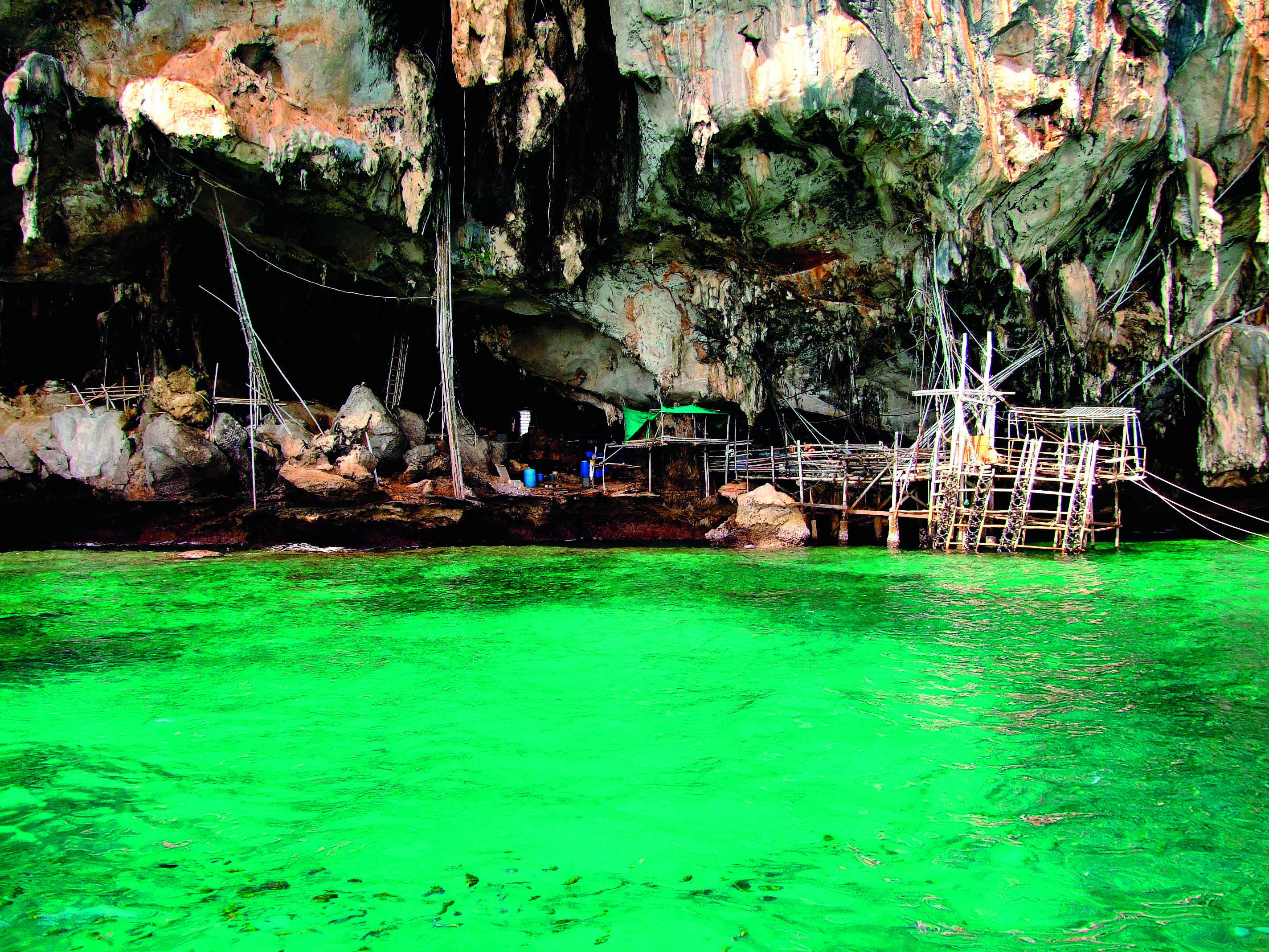 Phi Phi Island Longtail Boat Tour by Speedboat from Phuket